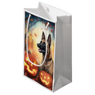 Halloween Belgium Malinoi met pompoenen eng Klein Cadeauzakje