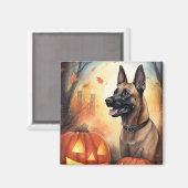 Halloween Belgium Malinoi met pompoenen eng Magneet (Voorkant / Achterkant)