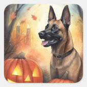 Halloween Belgium Malinoi met pompoenen eng Vierkante Sticker (Voorkant)