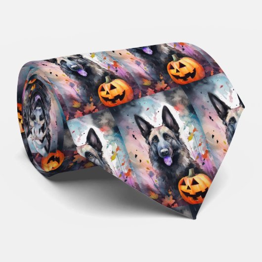 Halloween Belgium Shepherd met pompoenen eng Stropdas (Opgerold)