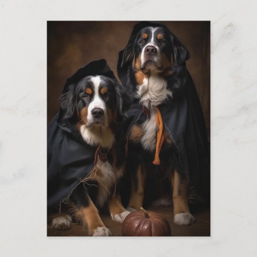 Halloween Berner Berghonden Briefkaart (Voorkant)