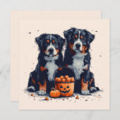 Halloween Berner Sennenhonden Pompoen Kaart (Voorkant / Achterkant)