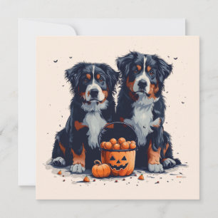 Halloween Berner Sennenhonden Pompoen Kaart