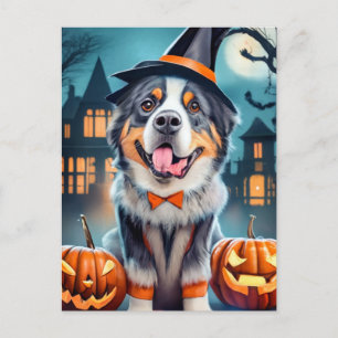 Halloween Bernese Mountain Dog Briefkaart