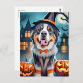 Halloween Bernese Mountain Dog Briefkaart (Voorkant / Achterkant)