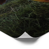 Halloween Bewitched Cat Poster (Hoek)