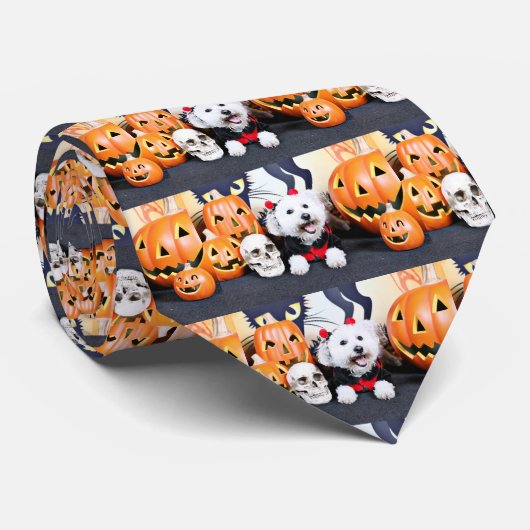 Halloween - Bichon Frise - Andi Stropdas (Opgerold)