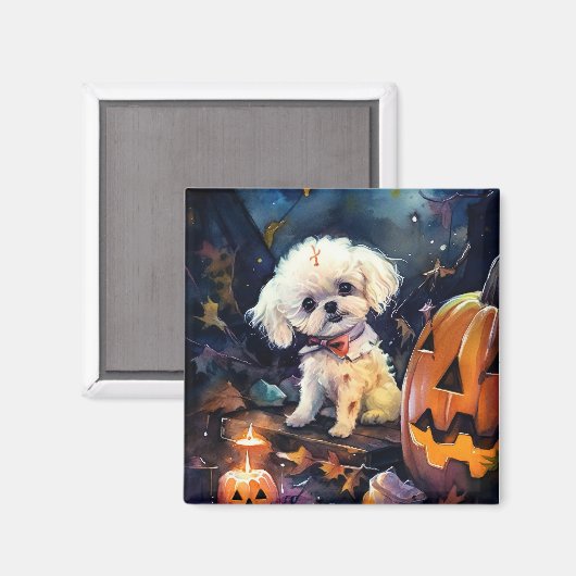 Halloween Bichon Frise met pompoenen eng Magneet (Voorkant / Achterkant)