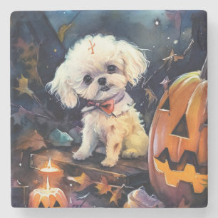 Halloween Bichon Frise met pompoenen eng Stenen Onderzetter