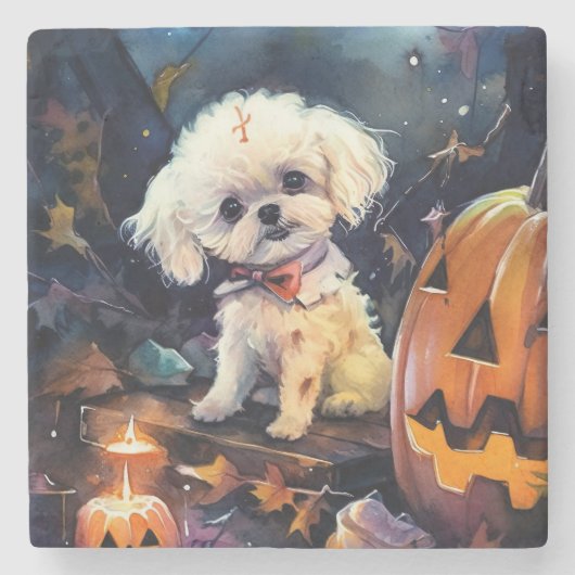 Halloween Bichon Frise met pompoenen eng Stenen Onderzetter (Voorkant)