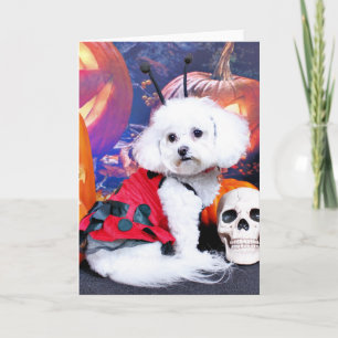 Halloween - Bichon Frise - Mia Kaart