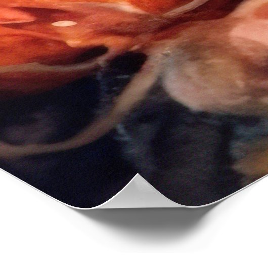 Halloween Biewer Terrier met pompoenen eng Poster (Hoek)