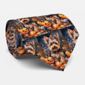 Halloween Biewer Terrier met pompoenen eng Stropdas (Opgerold)