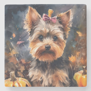 Halloween Biewer Terrier Met Pompoenen Griezelen Stenen Onderzetter