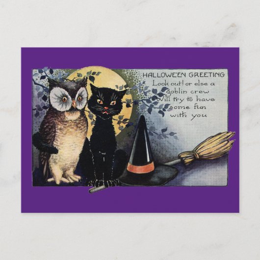 Halloween Black Cat and Owl Briefkaart (Voorkant)