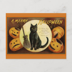 Halloween Black Cat en gekraakte pompoenen Briefkaart