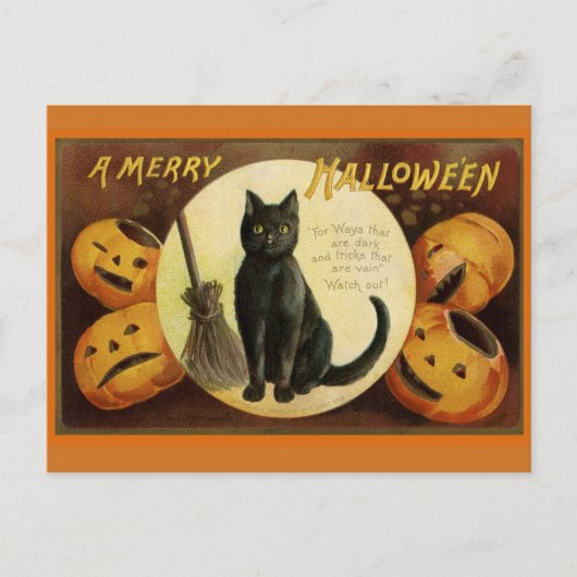  Halloween Black Cat en gekraakte pompoenen Briefkaart (Voorkant)