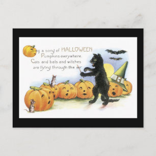 Halloween Black Cat en Pumpkin Briefkaart
