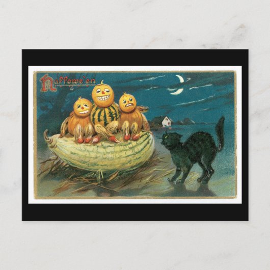 Halloween Black Cat en Pumpkin Briefkaart (Voorkant)