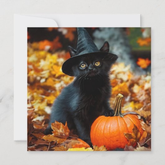 Halloween Black Cat en Pumpkin Kaart (Voorkant)