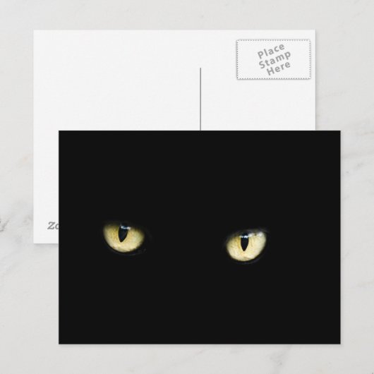 Halloween Black Cat Eyes Briefkaart (Voorkant / Achterkant)