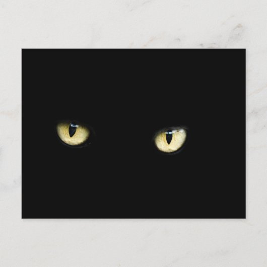 Halloween Black Cat Eyes Briefkaart (Voorkant)
