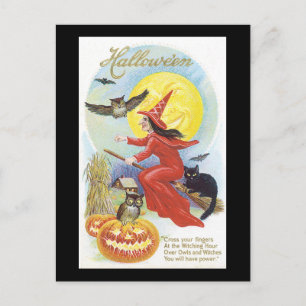 Halloween Black Cat, heks and Owl Briefkaart
