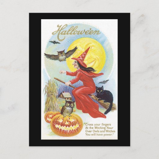 Halloween Black Cat, heks and Owl Briefkaart (Voorkant)