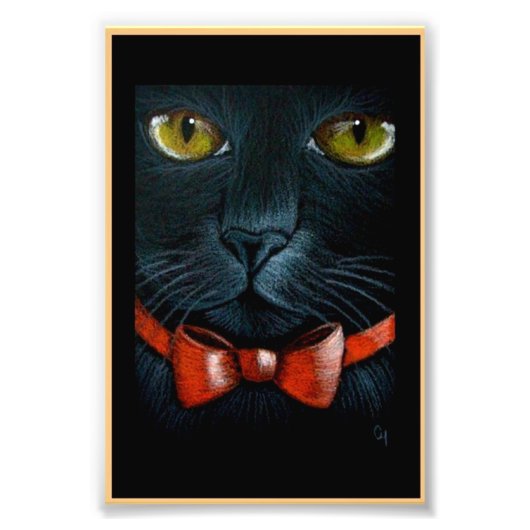 HALLOWEEN BLACK CAT MET ORANJE BOW AFDRUKKING FOTO AFDRUK (Voorkant)