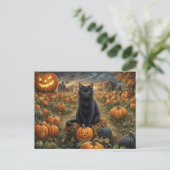 Halloween Black Cat Pumpkin Patch Schattige Feestdagenkaart (Staand voorkant)