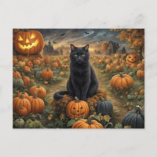 Halloween Black Cat Pumpkin Patch Schattige Feestdagenkaart (Voorkant)