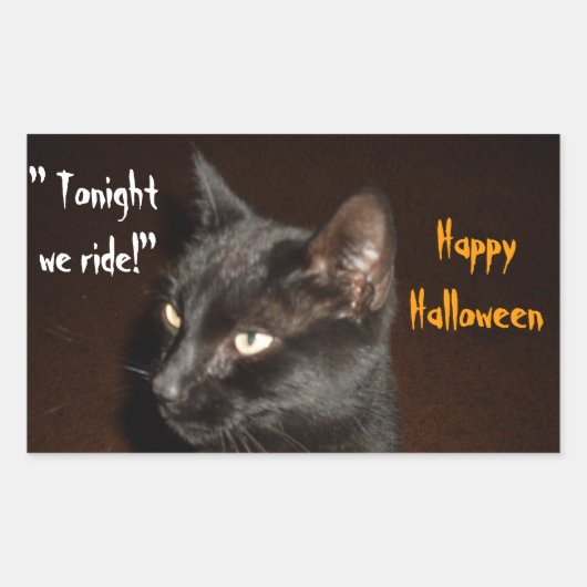HALLOWEEN BLACK CAT RIDE STICKERS (Voorkant)