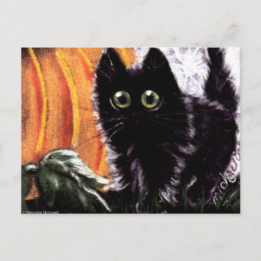 Halloween Black Cat that Data Scaredy Cat Briefkaa Briefkaart (Voorkant)