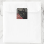 Halloween Black Cat Vierkante Sticker (Tas)