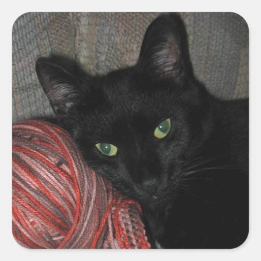 Halloween Black Cat Vierkante Sticker (Voorkant)
