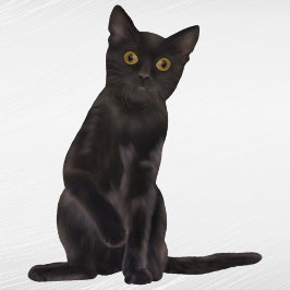 Halloween Black Cat Waterverf Sticker