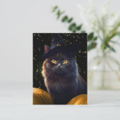 Halloween Black Cat Witch Pet en pompoenen Feestdagenkaart (Staand voorkant)