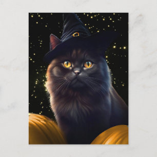 Halloween Black Cat Witch Pet en pompoenen Feestdagenkaart
