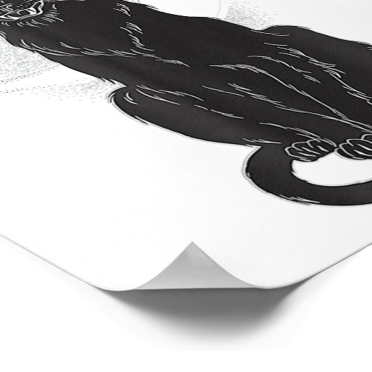 Halloween Black Cat Witch Pet Moon Poster (Hoek)
