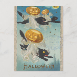 Halloween Black Cats & Pumpkin Ghosts Briefkaart