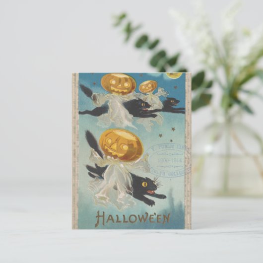Halloween Black Cats & Pumpkin Ghosts  Briefkaart (Staand voorkant)