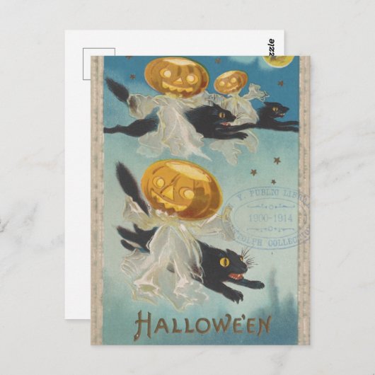 Halloween Black Cats & Pumpkin Ghosts  Briefkaart (Voorkant / Achterkant)