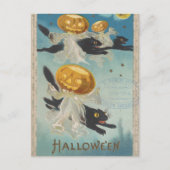 Halloween Black Cats & Pumpkin Ghosts  Briefkaart (Voorkant)