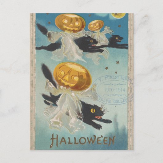 Halloween Black Cats & Pumpkin Ghosts  Briefkaart (Voorkant)