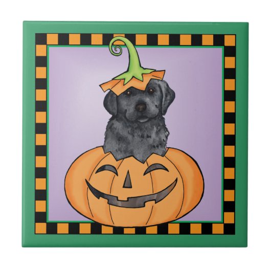 Halloween Black Lab Tegeltje (Voorkant)