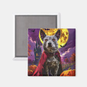Halloween Blue Heeler Dog Pumpkins eng Magneet (Voorkant / Achterkant)