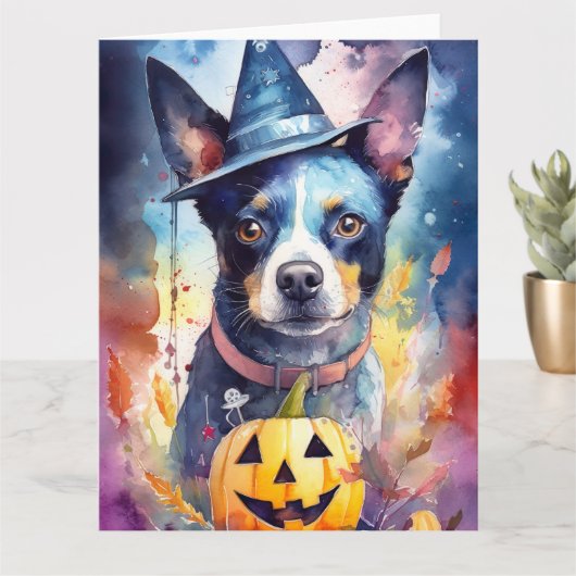 Halloween Blue Heeler Met Pompoenen Eng Kaart (Kleine Plant)