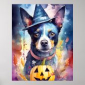 Halloween Blue Heeler met pompoenen eng Poster (Voorkant)