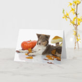 Halloween border collie kaart (Gele Bloem)