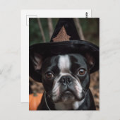 Halloween Boston Terrier Briefkaart (Voorkant / Achterkant)